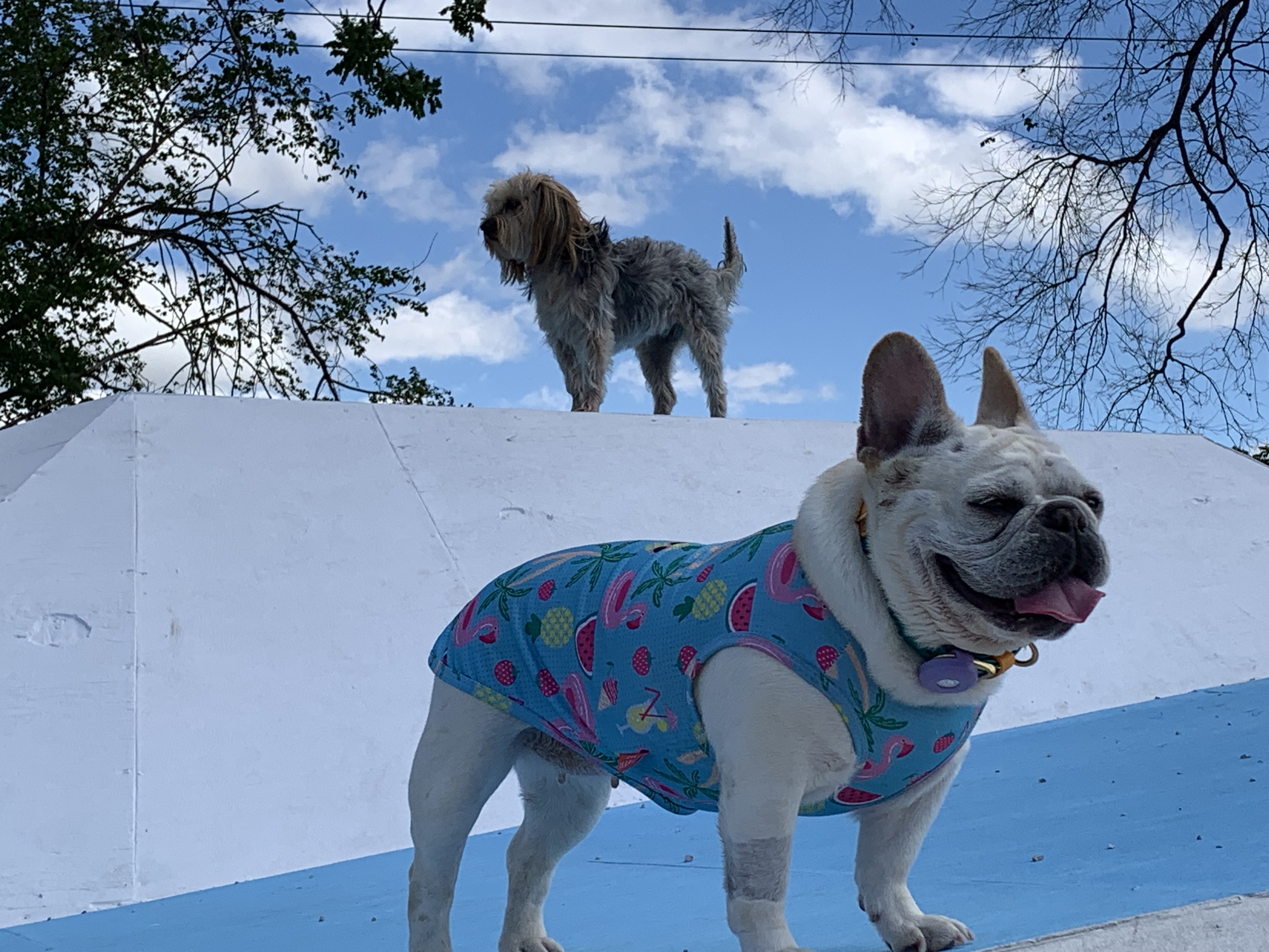 ./2022/06 - St Louis/06 - Day 6/20220526-10583013.JPG